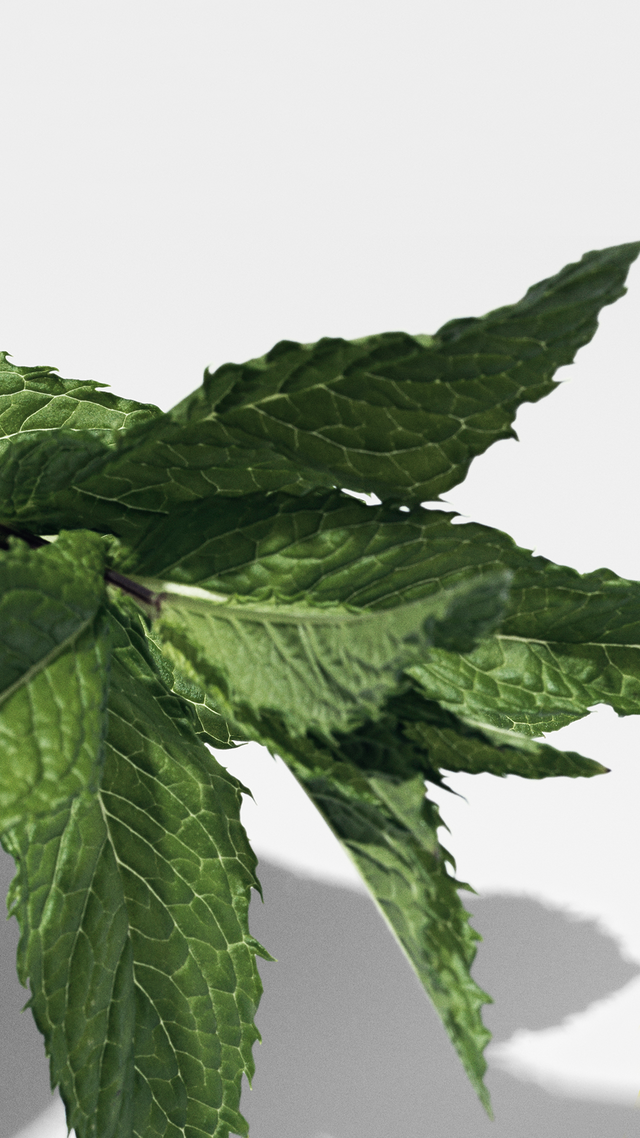 Quiz mobile background 2